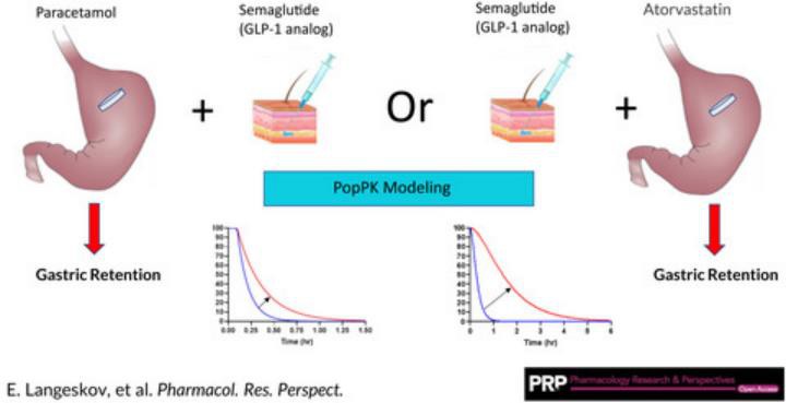Population pharmacokinetic of paracetamol and atorvastatin with co‐administration of semaglutide Population pharmacokinetic of paracetamol and atorvastatin with co‐administration of semaglutide