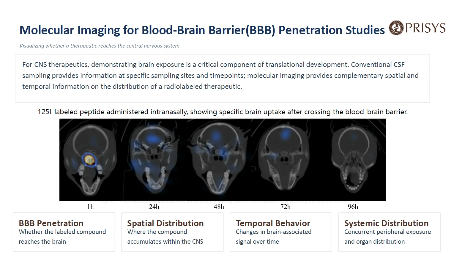 Molecular Imaging for Blood-Brain Barrier(BBB) Penetration Studies Visualizing whether a therapeutic reaches the central nervous system
